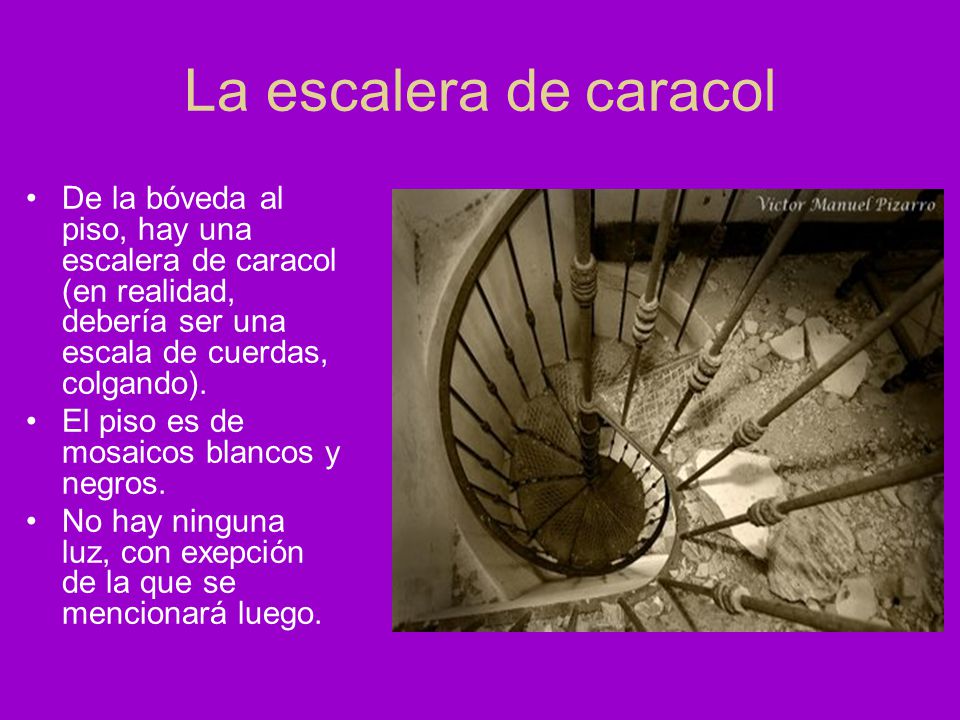 La escalera de caracol De la bóveda al piso, hay una escalera de caracol (en realidad, debería ser una escala de cuerdas, colgando).