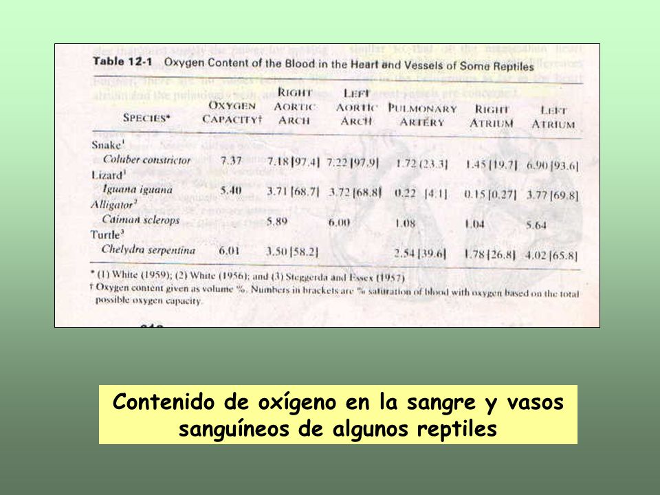 Contenido de oxígeno en la sangre y vasos sanguíneos de algunos reptiles