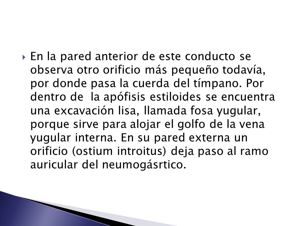 En la pared anterior de este conducto se observa otro orificio más pequeño todavía, por donde pasa la cuerda del tímpano.