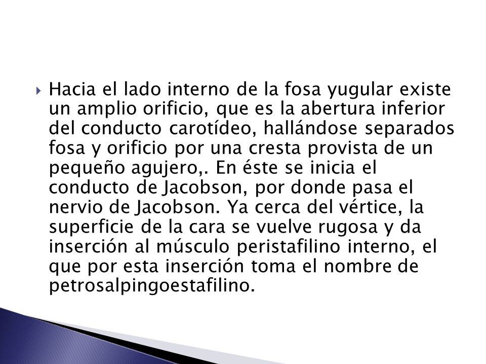 Hacia el lado interno de la fosa yugular existe un amplio orificio, que es la abertura inferior del conducto carotídeo, hallándose separados fosa y orificio por una cresta provista de un pequeño agujero,.