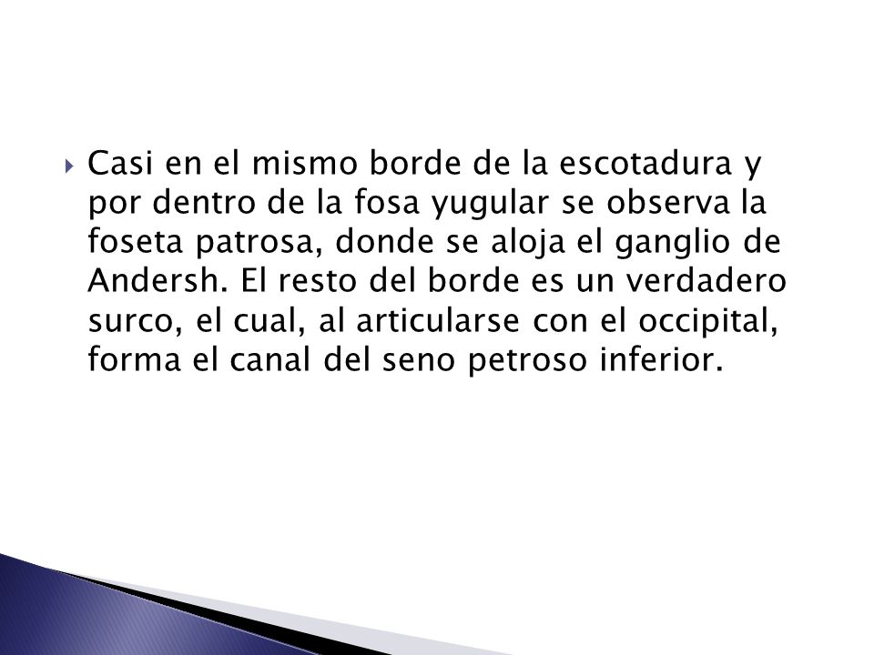 Casi en el mismo borde de la escotadura y por dentro de la fosa yugular se observa la foseta patrosa, donde se aloja el ganglio de Andersh.