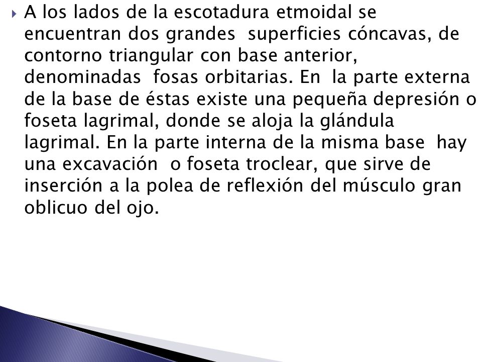 A los lados de la escotadura etmoidal se encuentran dos grandes superficies cóncavas, de contorno triangular con base anterior, denominadas fosas orbitarias.