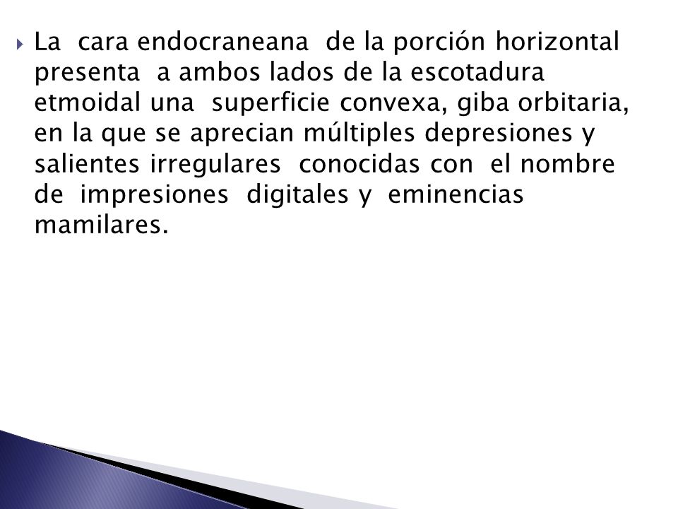 La cara endocraneana de la porción horizontal presenta a ambos lados de la escotadura etmoidal una superficie convexa, giba orbitaria, en la que se aprecian múltiples depresiones y salientes irregulares conocidas con el nombre de impresiones digitales y eminencias mamilares.