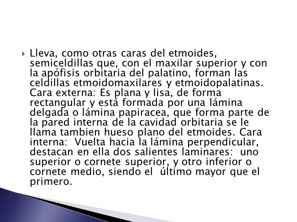 Lleva, como otras caras del etmoides, semiceldillas que, con el maxilar superior y con la apófisis orbitaria del palatino, forman las celdillas etmoidomaxilares y etmoidopalatinas.