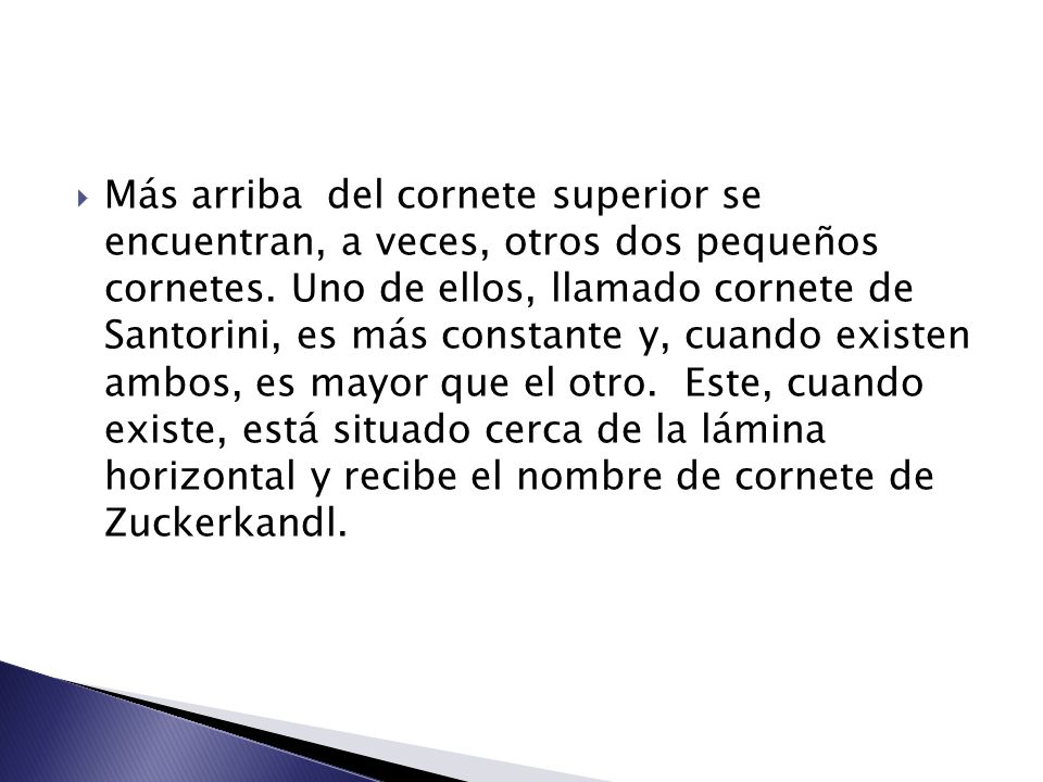 Más arriba del cornete superior se encuentran, a veces, otros dos pequeños cornetes.