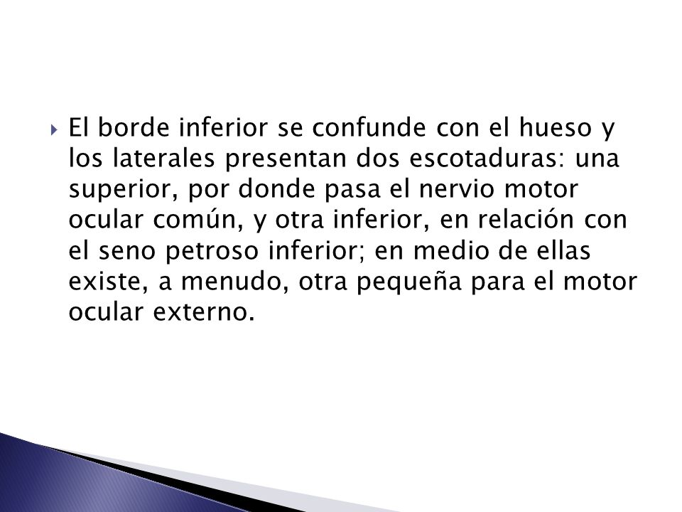 El borde inferior se confunde con el hueso y los laterales presentan dos escotaduras: una superior, por donde pasa el nervio motor ocular común, y otra inferior, en relación con el seno petroso inferior; en medio de ellas existe, a menudo, otra pequeña para el motor ocular externo.