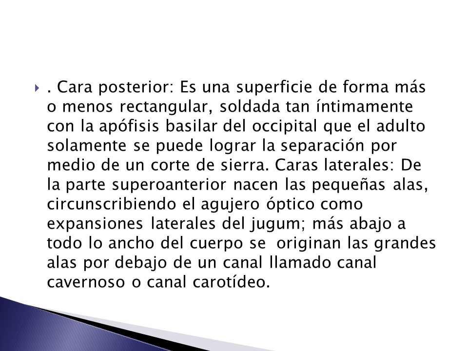 Cara posterior: Es una superficie de forma más o menos rectangular, soldada tan íntimamente con la apófisis basilar del occipital que el adulto solamente se puede lograr la separación por medio de un corte de sierra.