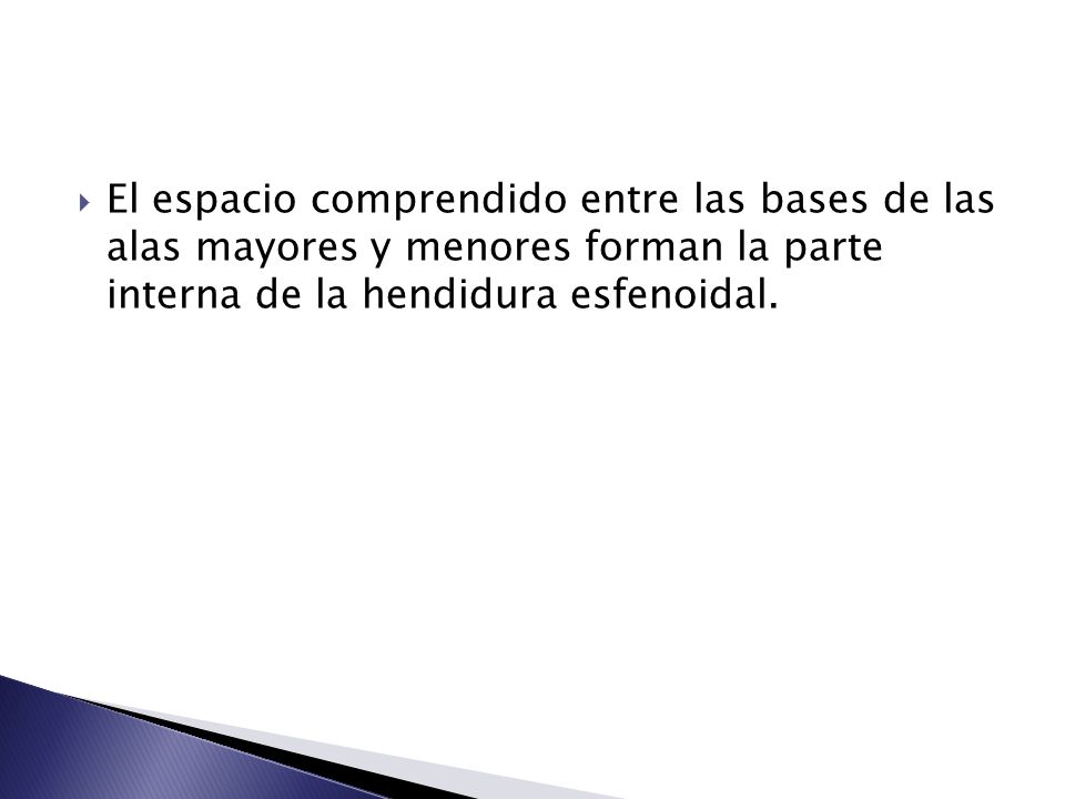 El espacio comprendido entre las bases de las alas mayores y menores forman la parte interna de la hendidura esfenoidal.