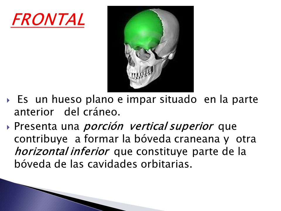FRONTAL Es un hueso plano e impar situado en la parte anterior del cráneo.