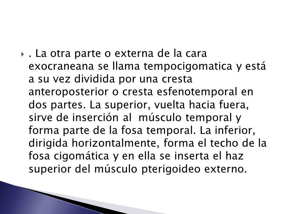 La otra parte o externa de la cara exocraneana se llama tempocigomatica y está a su vez dividida por una cresta anteroposterior o cresta esfenotemporal en dos partes.