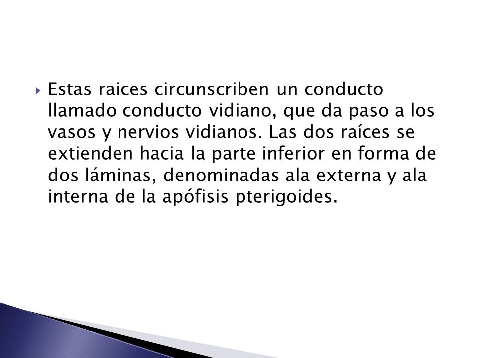 Estas raices circunscriben un conducto llamado conducto vidiano, que da paso a los vasos y nervios vidianos.