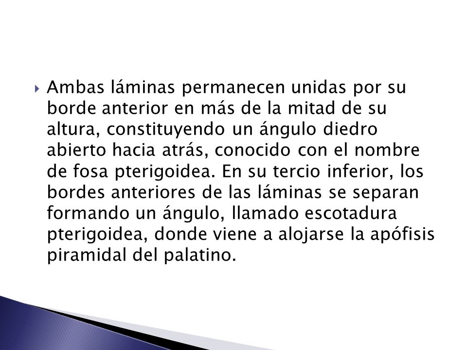 Ambas láminas permanecen unidas por su borde anterior en más de la mitad de su altura, constituyendo un ángulo diedro abierto hacia atrás, conocido con el nombre de fosa pterigoidea.