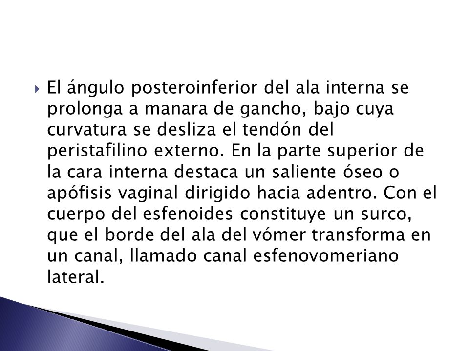 El ángulo posteroinferior del ala interna se prolonga a manara de gancho, bajo cuya curvatura se desliza el tendón del peristafilino externo.