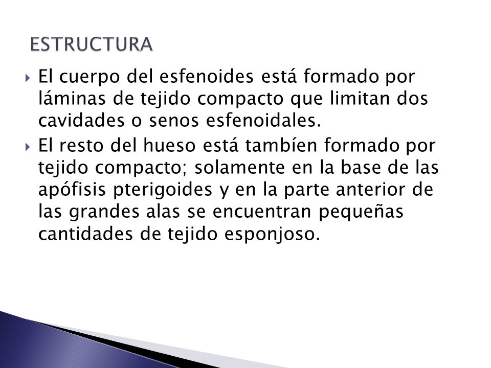 ESTRUCTURA El cuerpo del esfenoides está formado por láminas de tejido compacto que limitan dos cavidades o senos esfenoidales.