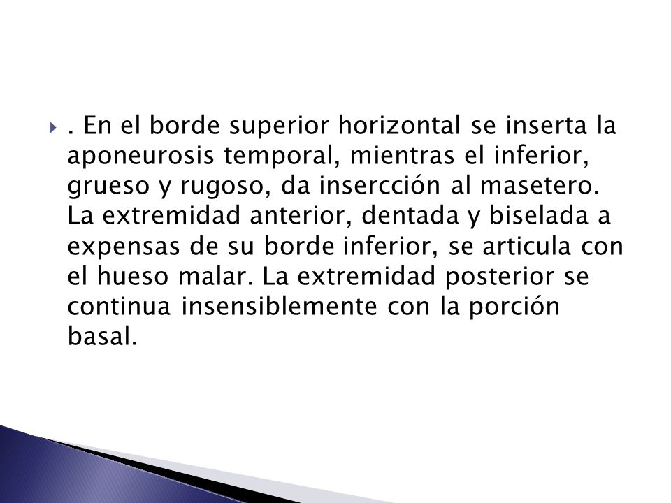 En el borde superior horizontal se inserta la aponeurosis temporal, mientras el inferior, grueso y rugoso, da insercción al masetero.