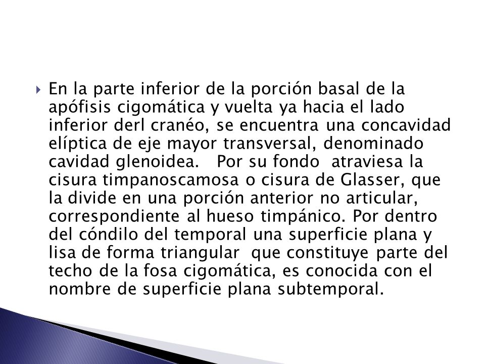 En la parte inferior de la porción basal de la apófisis cigomática y vuelta ya hacia el lado inferior derl cranéo, se encuentra una concavidad elíptica de eje mayor transversal, denominado cavidad glenoidea.