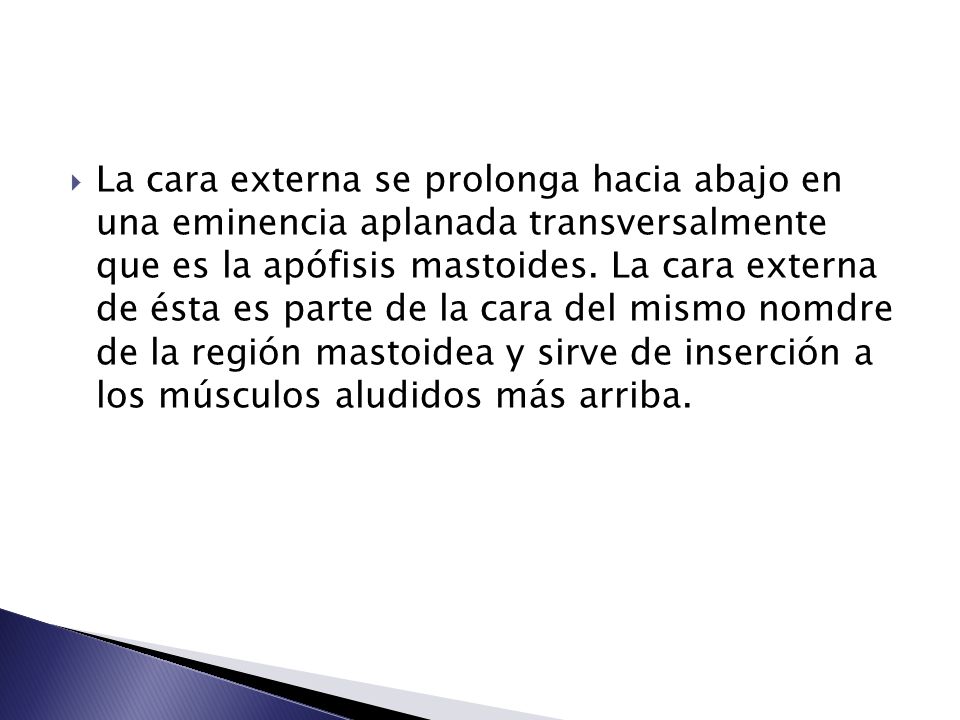 La cara externa se prolonga hacia abajo en una eminencia aplanada transversalmente que es la apófisis mastoides.