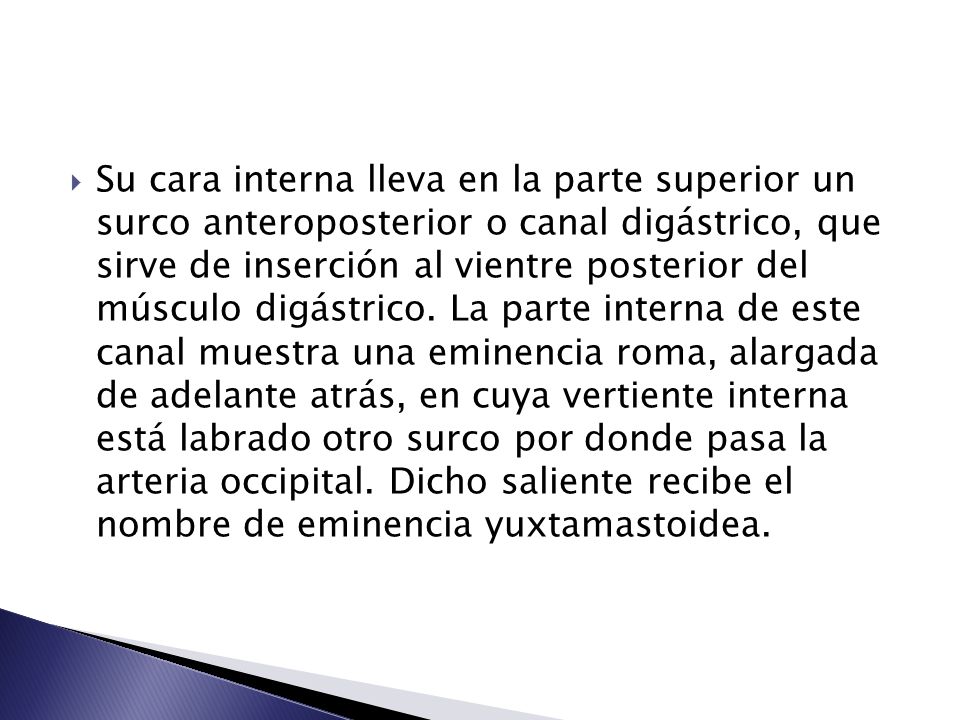 Su cara interna lleva en la parte superior un surco anteroposterior o canal digástrico, que sirve de inserción al vientre posterior del músculo digástrico.
