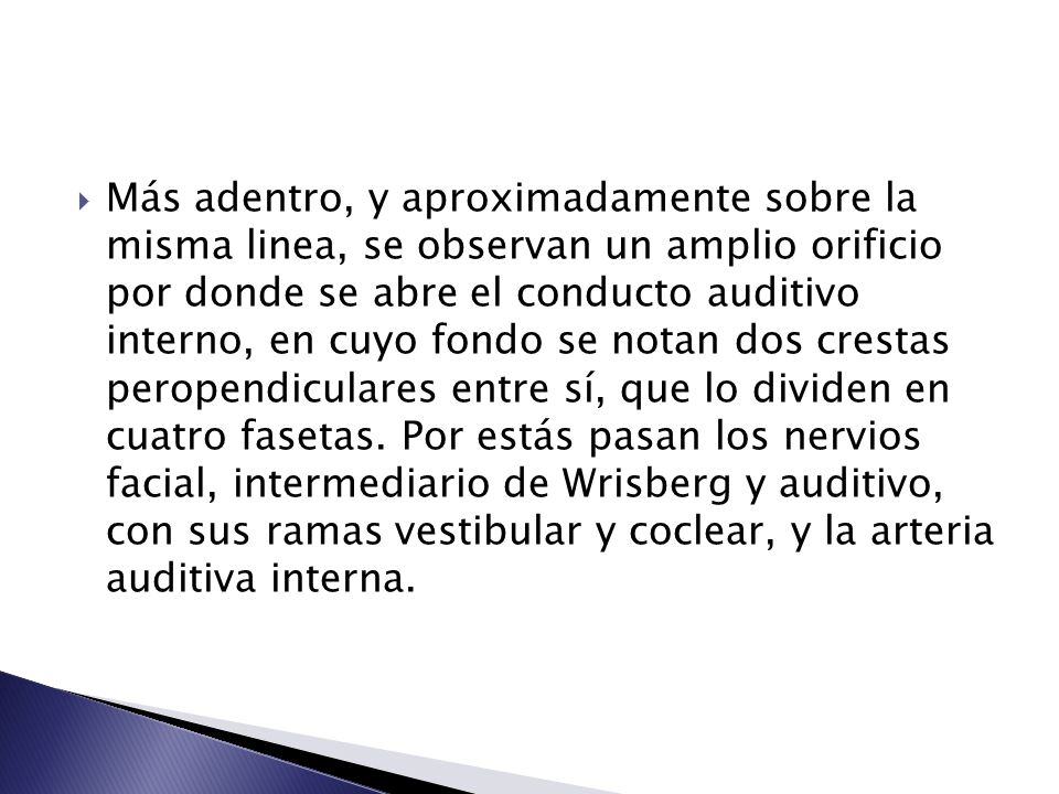 Más adentro, y aproximadamente sobre la misma linea, se observan un amplio orificio por donde se abre el conducto auditivo interno, en cuyo fondo se notan dos crestas peropendiculares entre sí, que lo dividen en cuatro fasetas.