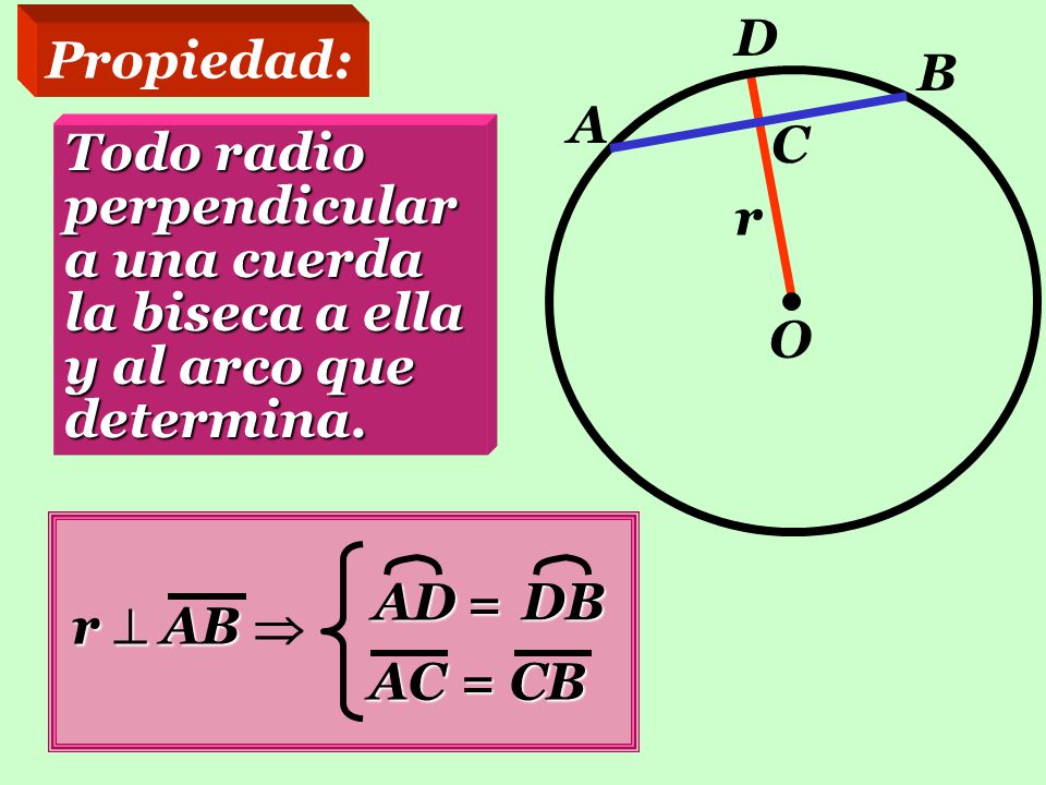 D Propiedad: B. A. C. Todo radio perpendicular a una cuerda la biseca a ella y al arco que determina.