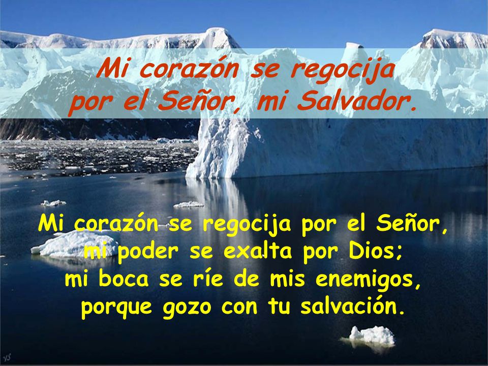 Mi corazón se regocija por el Señor, mi Salvador.