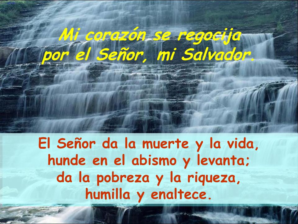 Mi corazón se regocija por el Señor, mi Salvador.