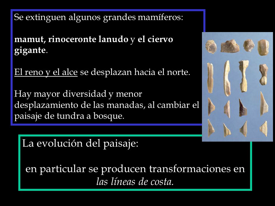 en particular se producen transformaciones en las líneas de costa.