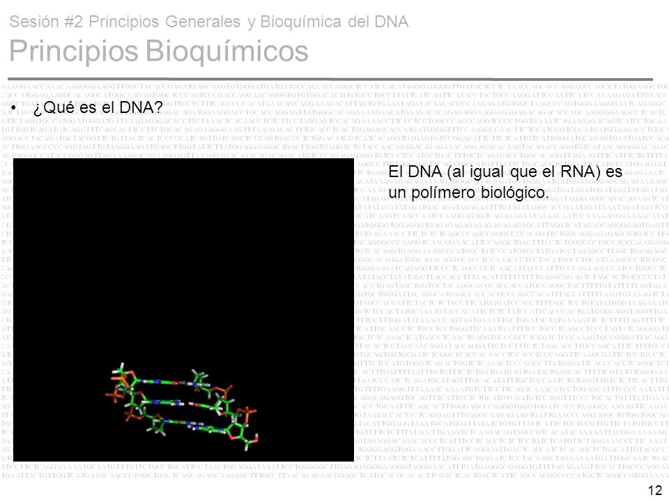 Sesión #2 Principios Generales y Bioquímica del DNA Principios Bioquímicos
