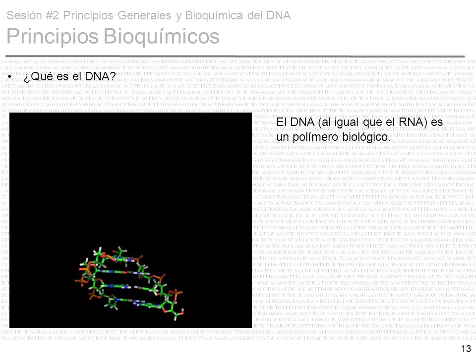 Sesión #2 Principios Generales y Bioquímica del DNA Principios Bioquímicos