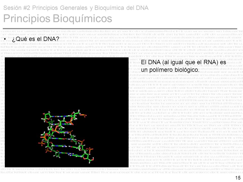 Sesión #2 Principios Generales y Bioquímica del DNA Principios Bioquímicos