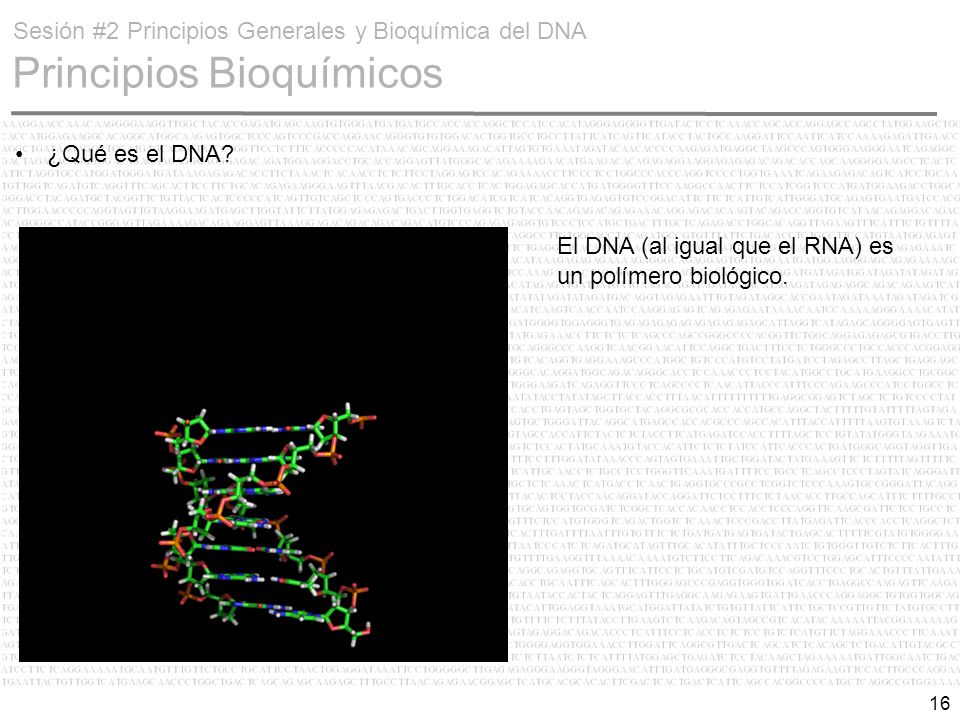 Sesión #2 Principios Generales y Bioquímica del DNA Principios Bioquímicos