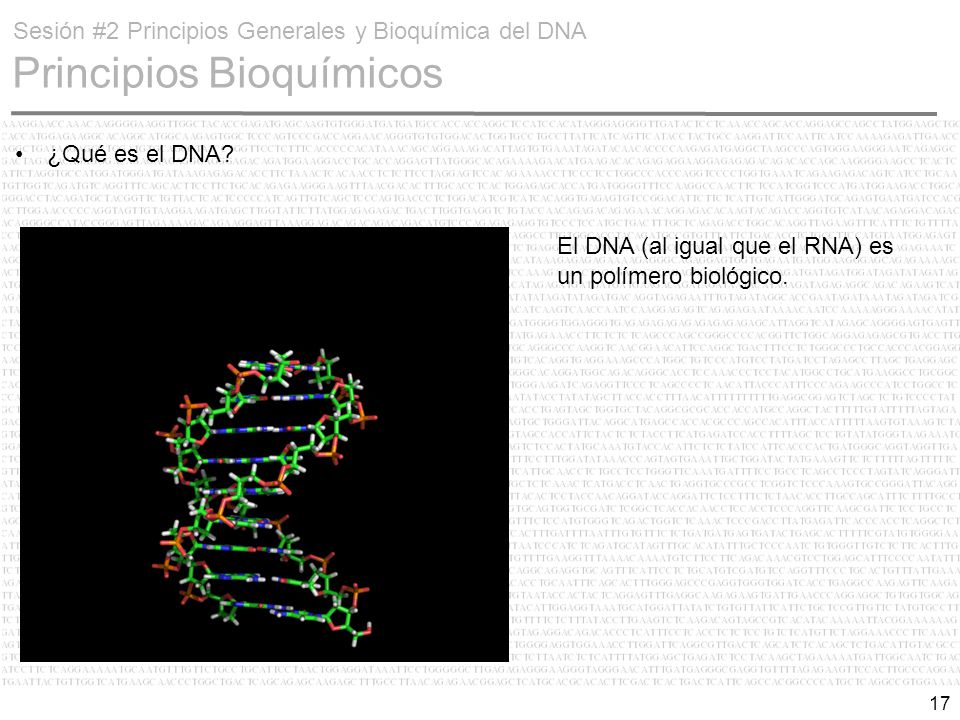 Sesión #2 Principios Generales y Bioquímica del DNA Principios Bioquímicos