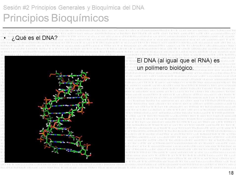 Sesión #2 Principios Generales y Bioquímica del DNA Principios Bioquímicos