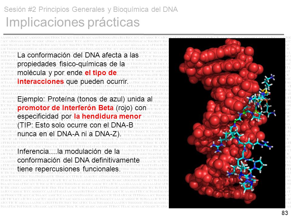 Sesión #2 Principios Generales y Bioquímica del DNA Implicaciones prácticas