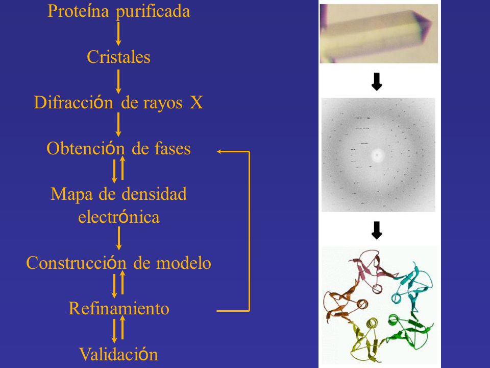 Mapa de densidad electrónica