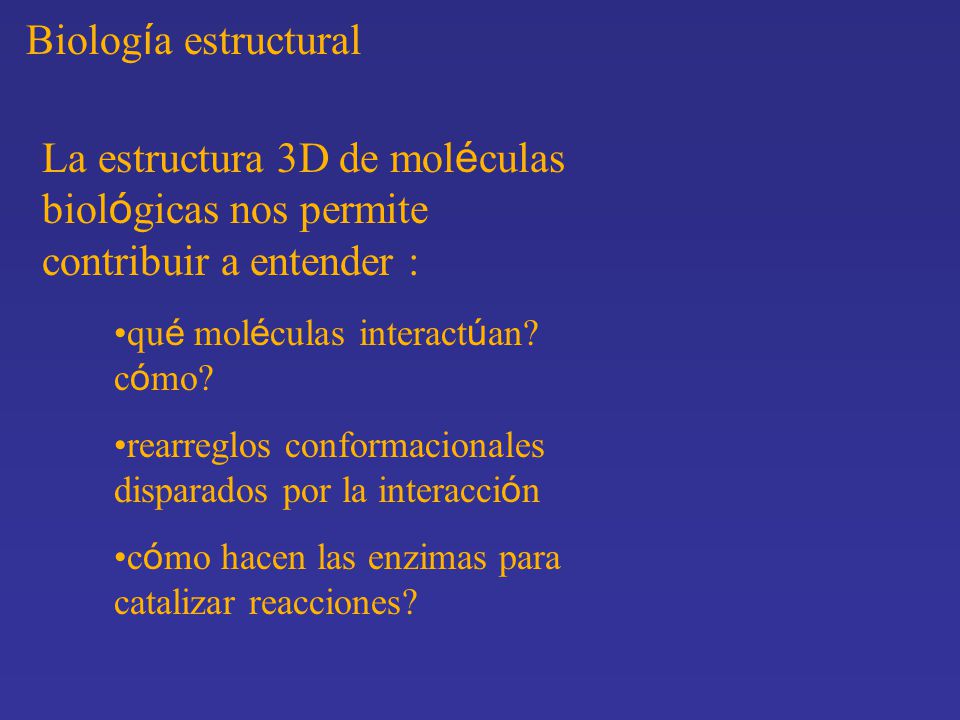 Biología estructural La estructura 3D de moléculas biológicas nos permite contribuir a entender : qué moléculas interactúan cómo