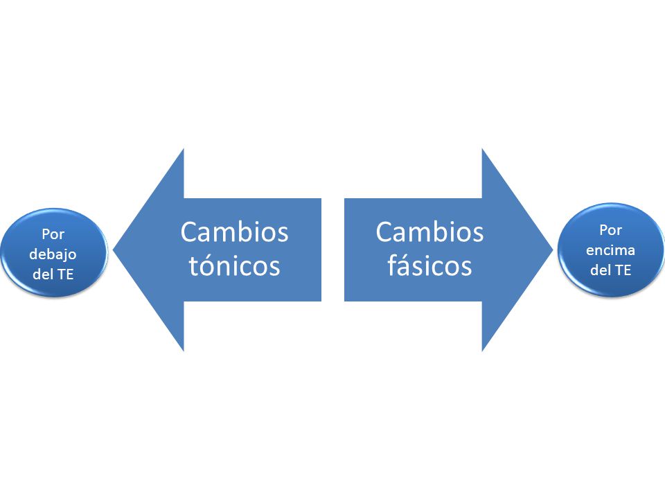 Cambios tónicos Cambios fásicos Por encima del TE Por debajo del TE