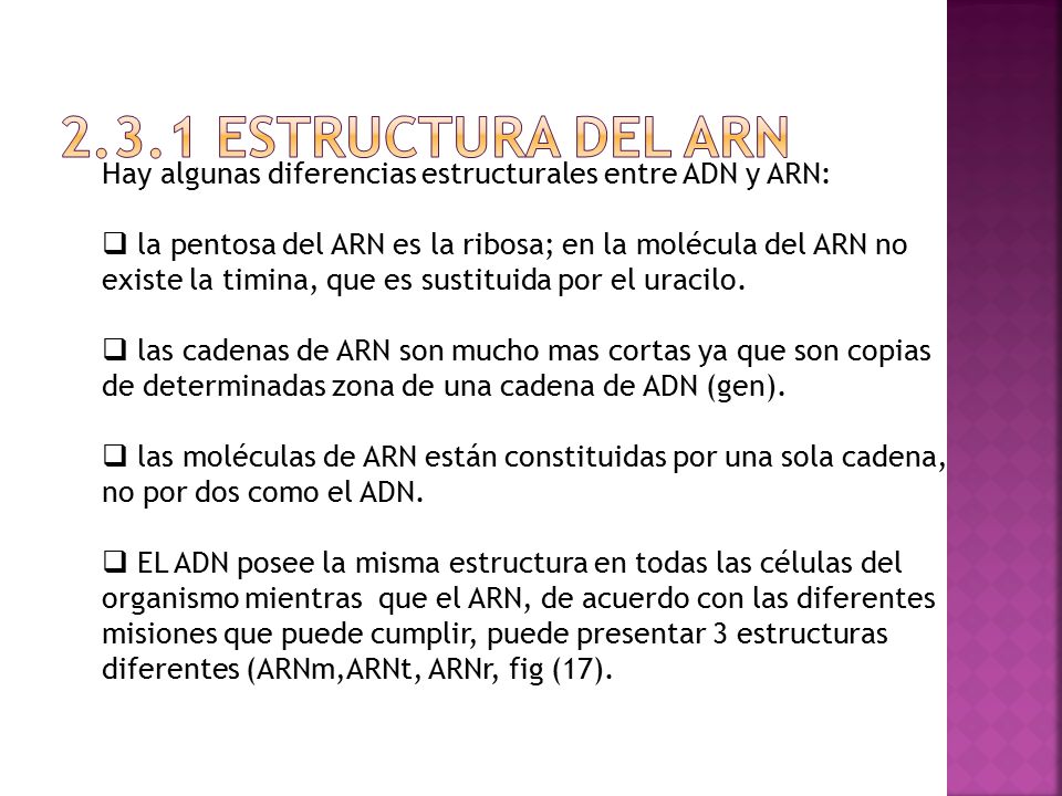 2.3.1 ESTRUCTURA DEL ARN Hay algunas diferencias estructurales entre ADN y ARN: