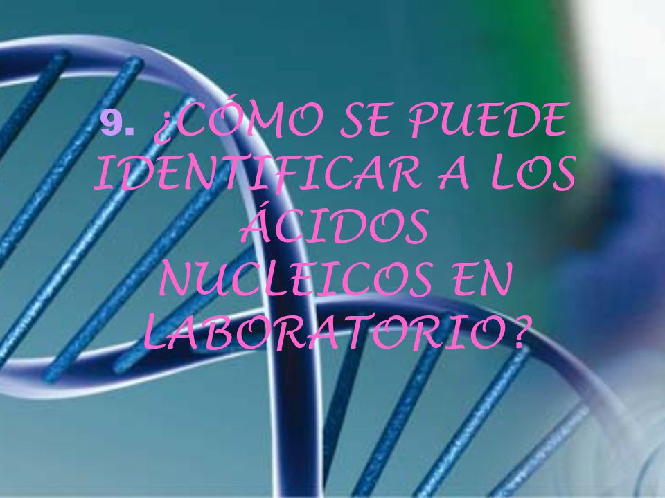 9. ¿CÓMO SE PUEDE IDENTIFICAR A LOS ÁCIDOS NUCLEICOS EN LABORATORIO