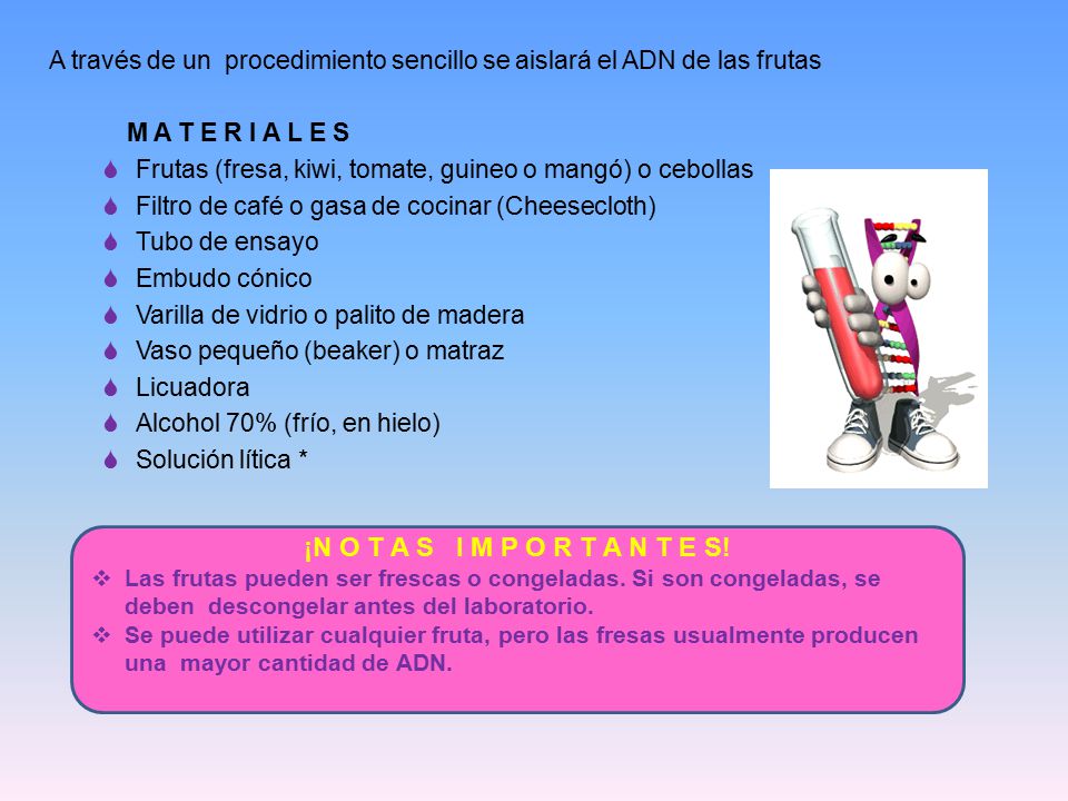A través de un procedimiento sencillo se aislará el ADN de las frutas
