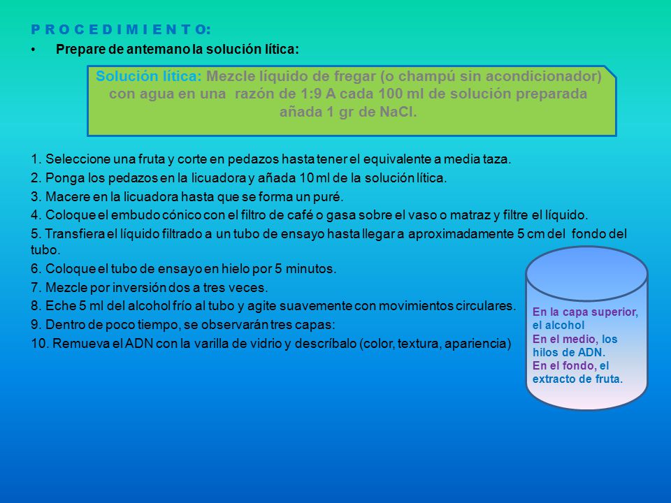 P R O C E D I M I E N T O: Prepare de antemano la solución lítica: