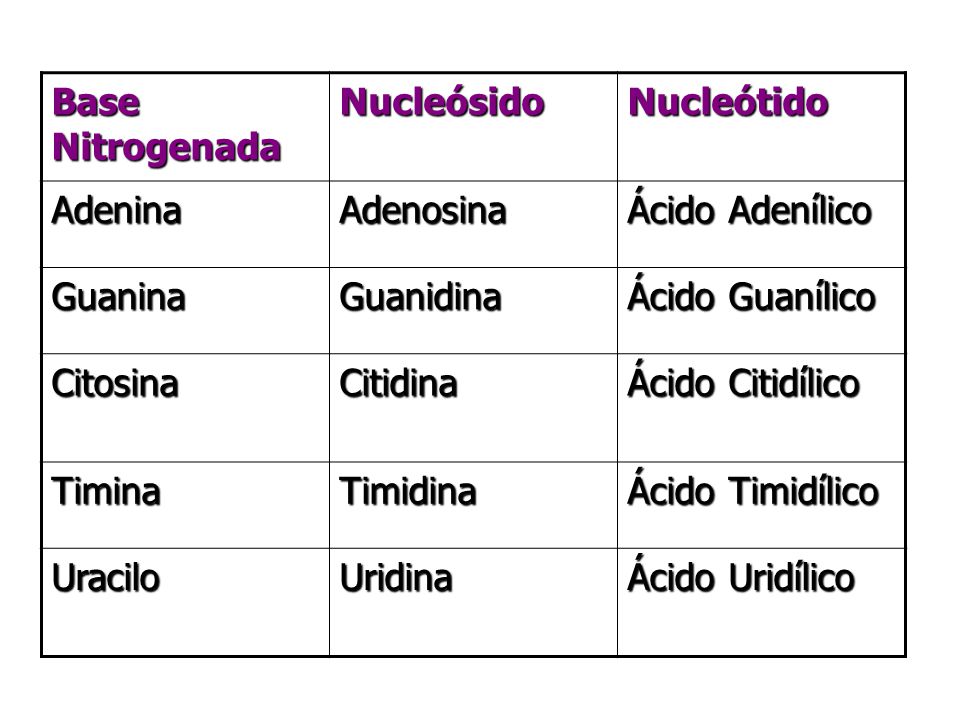 Base Nitrogenada Nucleósido. Nucleótido. Adenina. Adenosina. Ácido Adenílico. Guanina. Guanidina.