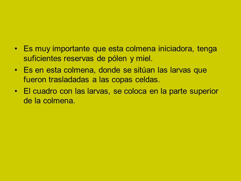Es muy importante que esta colmena iniciadora, tenga suficientes reservas de pólen y miel.