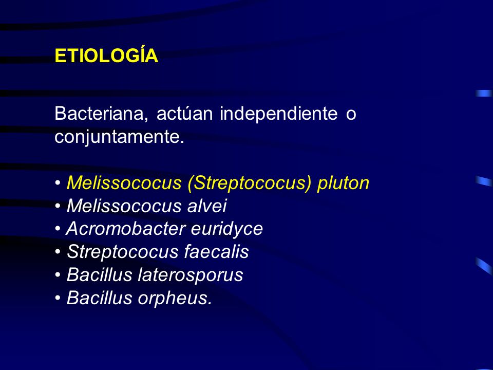 ETIOLOGÍA Bacteriana, actúan independiente o conjuntamente. Melissococus (Streptococus) pluton. Melissococus alvei.