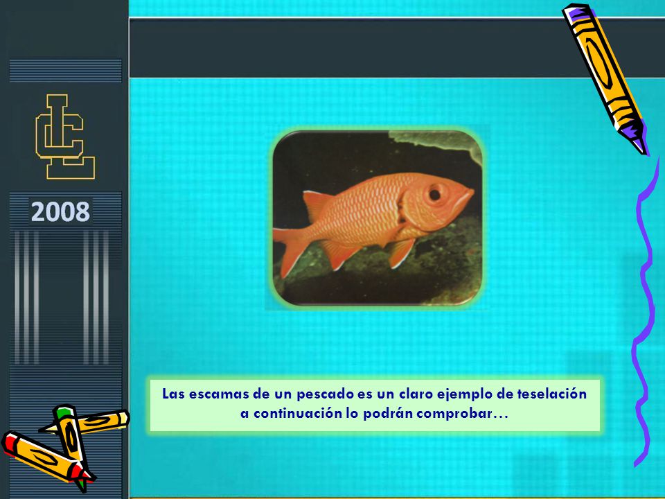Las escamas de un pescado es un claro ejemplo de teselación a continuación lo podrán comprobar…