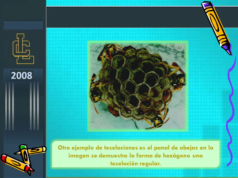 Otro ejemplo de teselaciones es el panal de abejas en la imagen se demuestra la forma de hexágono una teselación regular.