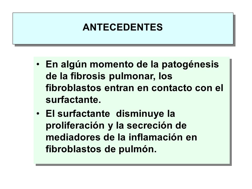 ANTECEDENTES En algún momento de la patogénesis de la fibrosis pulmonar, los fibroblastos entran en contacto con el surfactante.