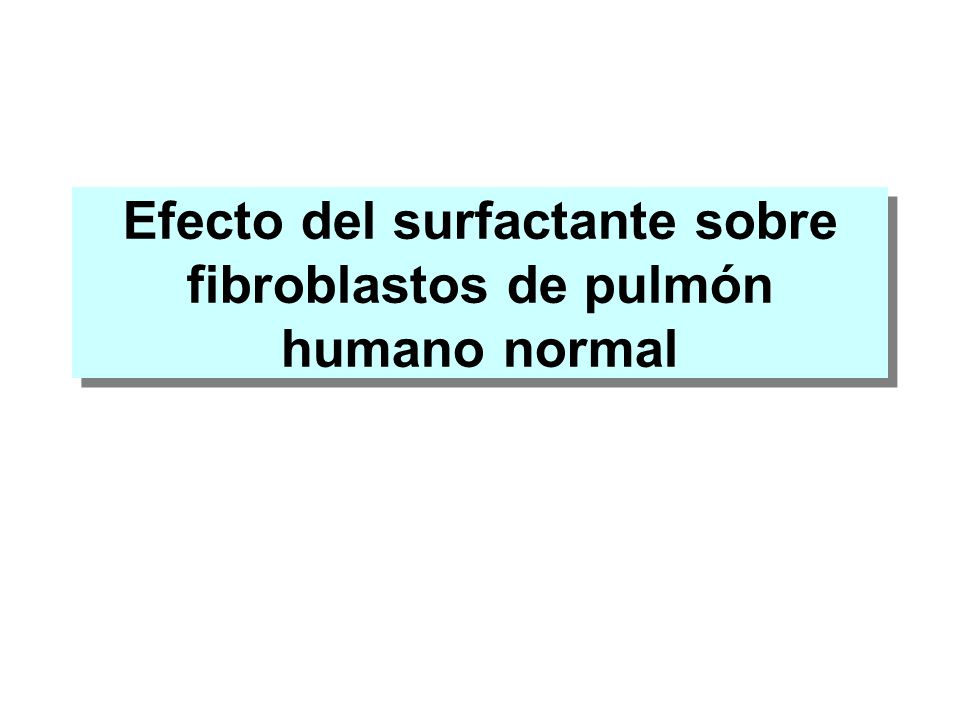 Efecto del surfactante sobre fibroblastos de pulmón humano normal