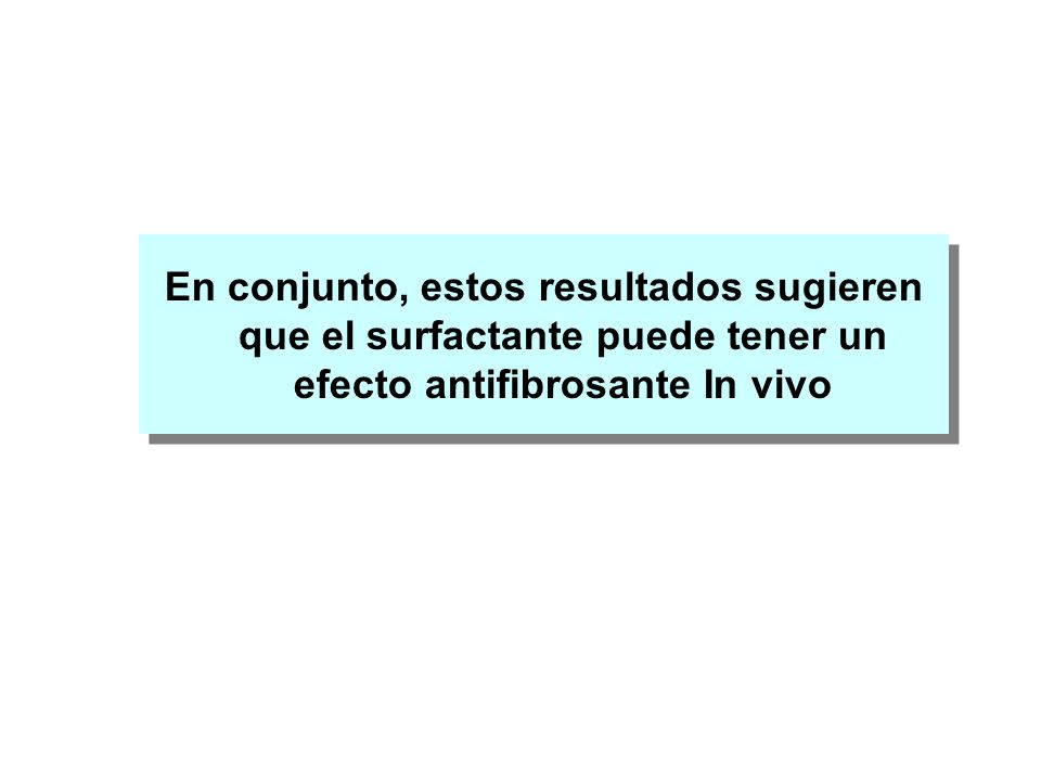 En conjunto, estos resultados sugieren que el surfactante puede tener un efecto antifibrosante In vivo