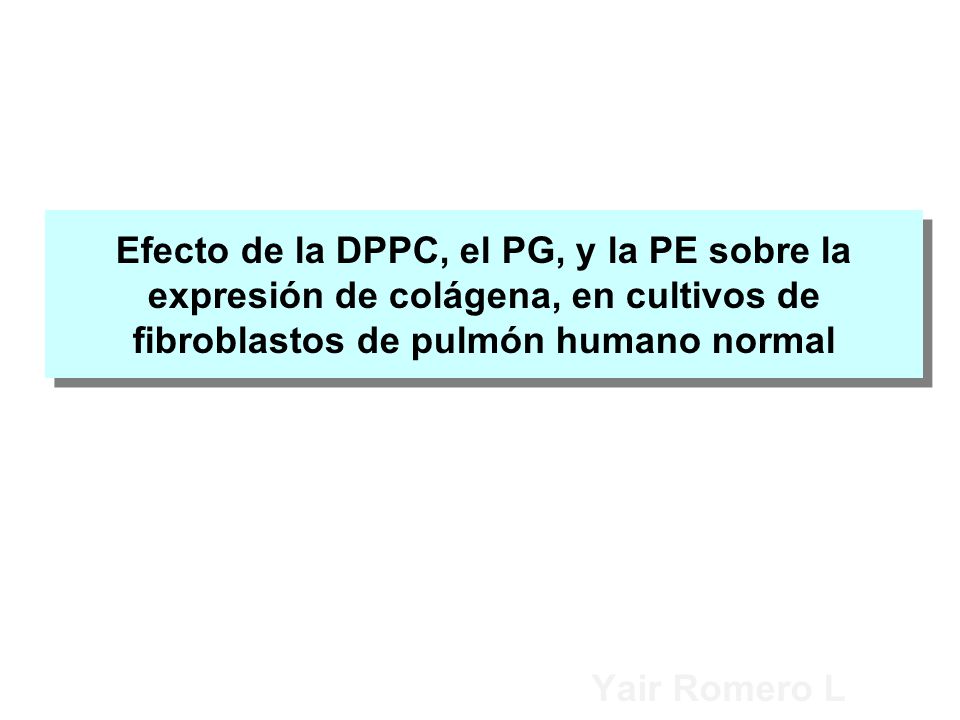 Efecto de la DPPC, el PG, y la PE sobre la expresión de colágena, en cultivos de fibroblastos de pulmón humano normal